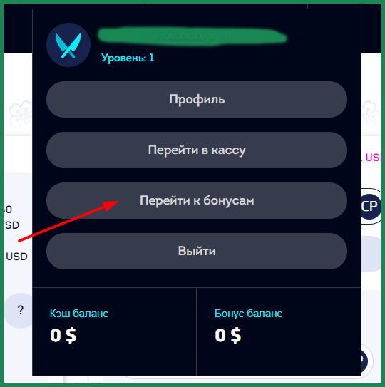 открыть раздел бонусы